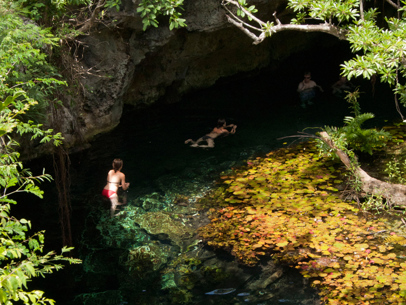 Diving in cenotes Cancun and Riviera Maya